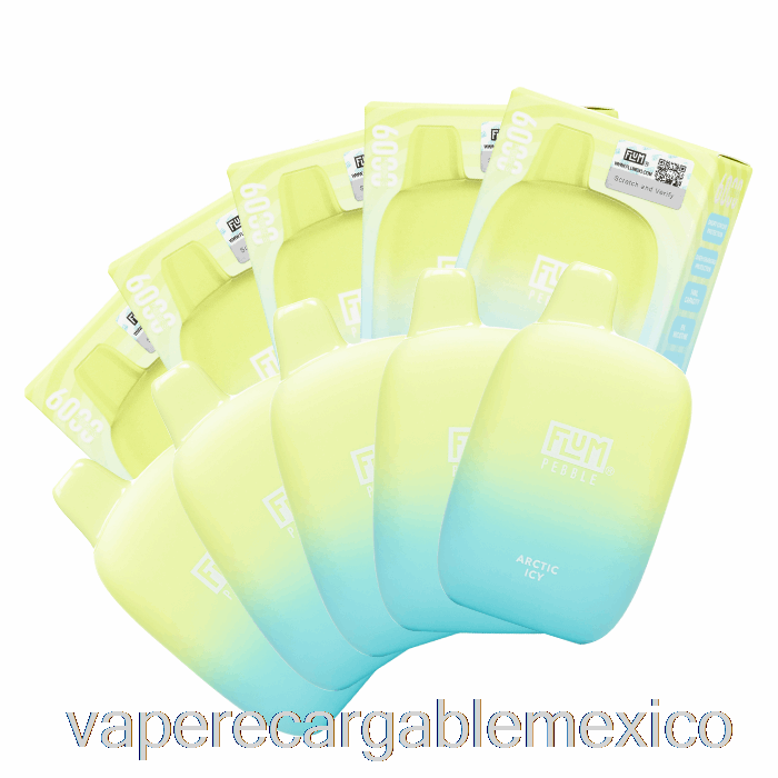 Vape Recargable [paquete De 10] Flum Pebble 6000 Desechable